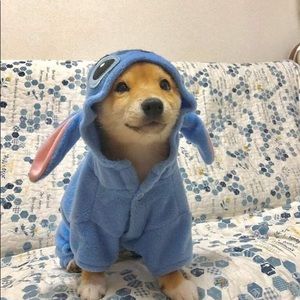 Meet your Posher, Edward